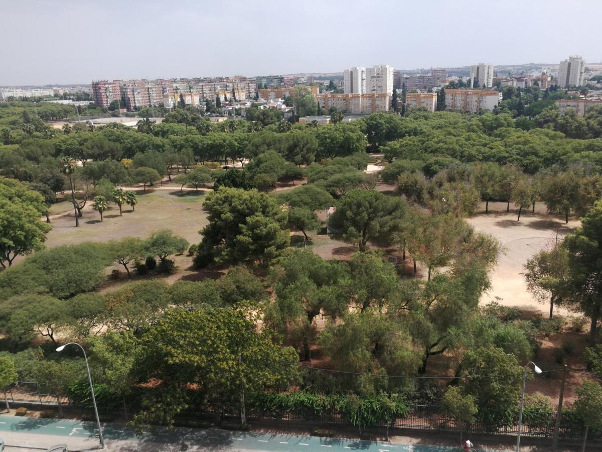 Apartamentos Flamenco B&B Sevilla Exteriör bild