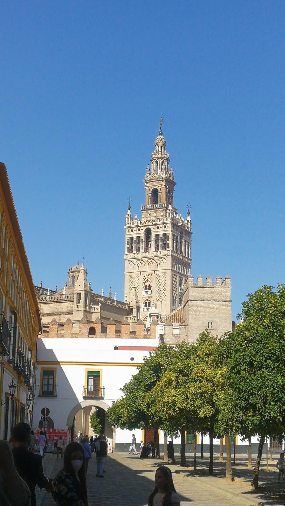 Apartamentos Flamenco B&B Sevilla Exteriör bild